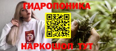 стафф Тула