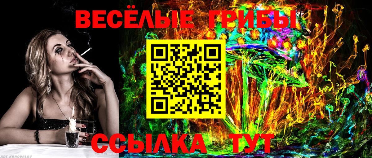 Псилоцибиновые грибы Psilocybine cubensis  Вход с VPN  Можга 