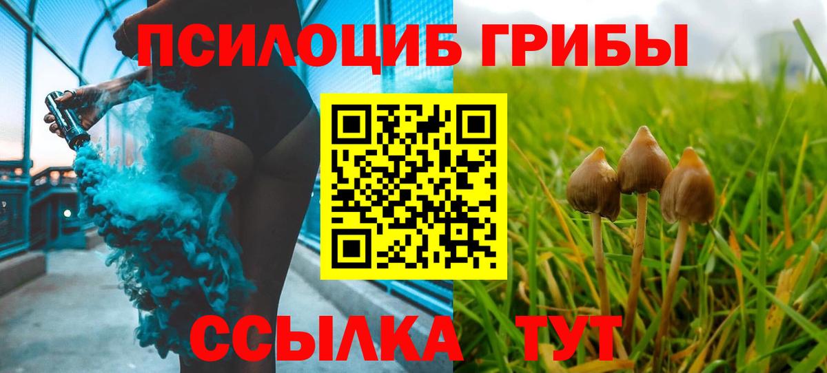 Галлюциногенные грибы мухоморы Можга
